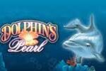 Dolphins Pearl Deluxe